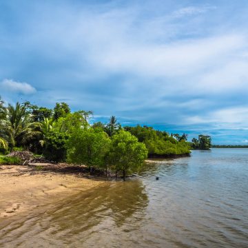 Estate planning advies